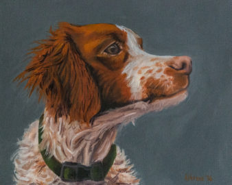 8x10 oil on canvas by Amber Honour "Brittany Spaniel Dog Portrait"