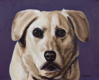 "Dopey" White Lab Dog Portrait by Amber Honour burntumberarts.com